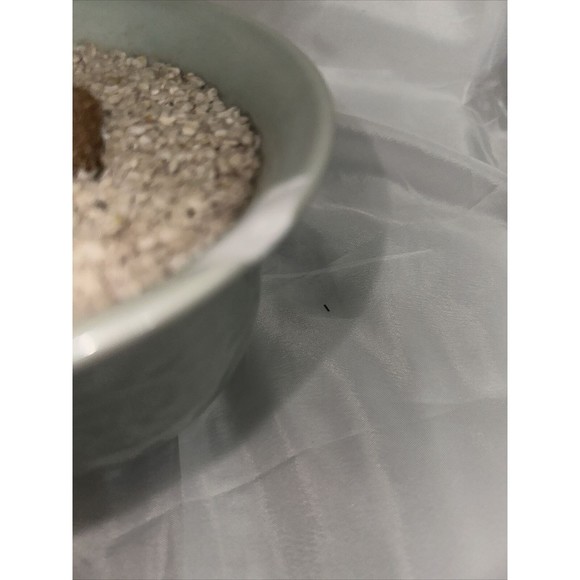 Vintage Chinese Jade Quartz Stone Glass Bonsai Tree Pink  Slight damage See Pics - Picture 15 of 16